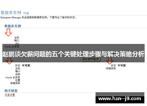 赵鹏谈欠薪问题的五个关键处理步骤与解决策略分析